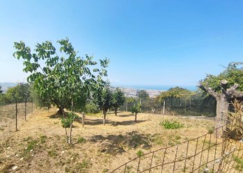 Foto 3 - Terreno edificabile via fonte ottone, Colonnella - foto 3