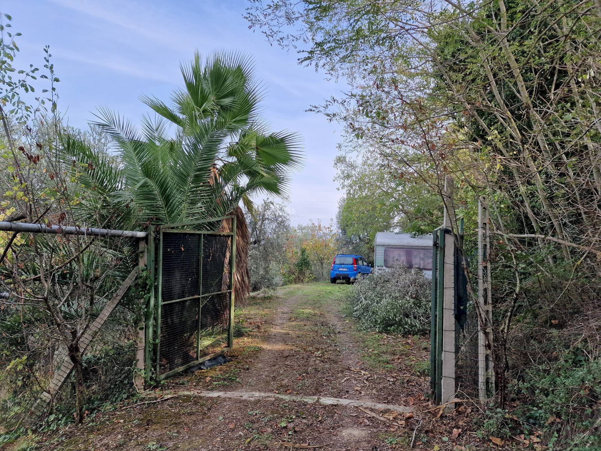 Foto 3 - Terreno agricolo Monsampolo del Tronto - foto 3