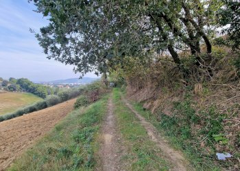 Foto 1 - Terreno agricolo Monsampolo del Tronto - foto 1