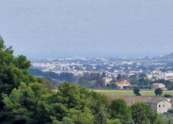 Foto 2 - Terreno agricolo Monsampolo del Tronto - foto 2