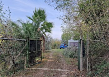 Foto 3 - Terreno agricolo Monsampolo del Tronto - foto 3