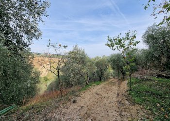 Foto 4 - Terreno agricolo Monsampolo del Tronto - foto 4