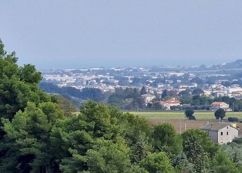 Foto 11 - Terreno agricolo Monsampolo del Tronto - foto 11