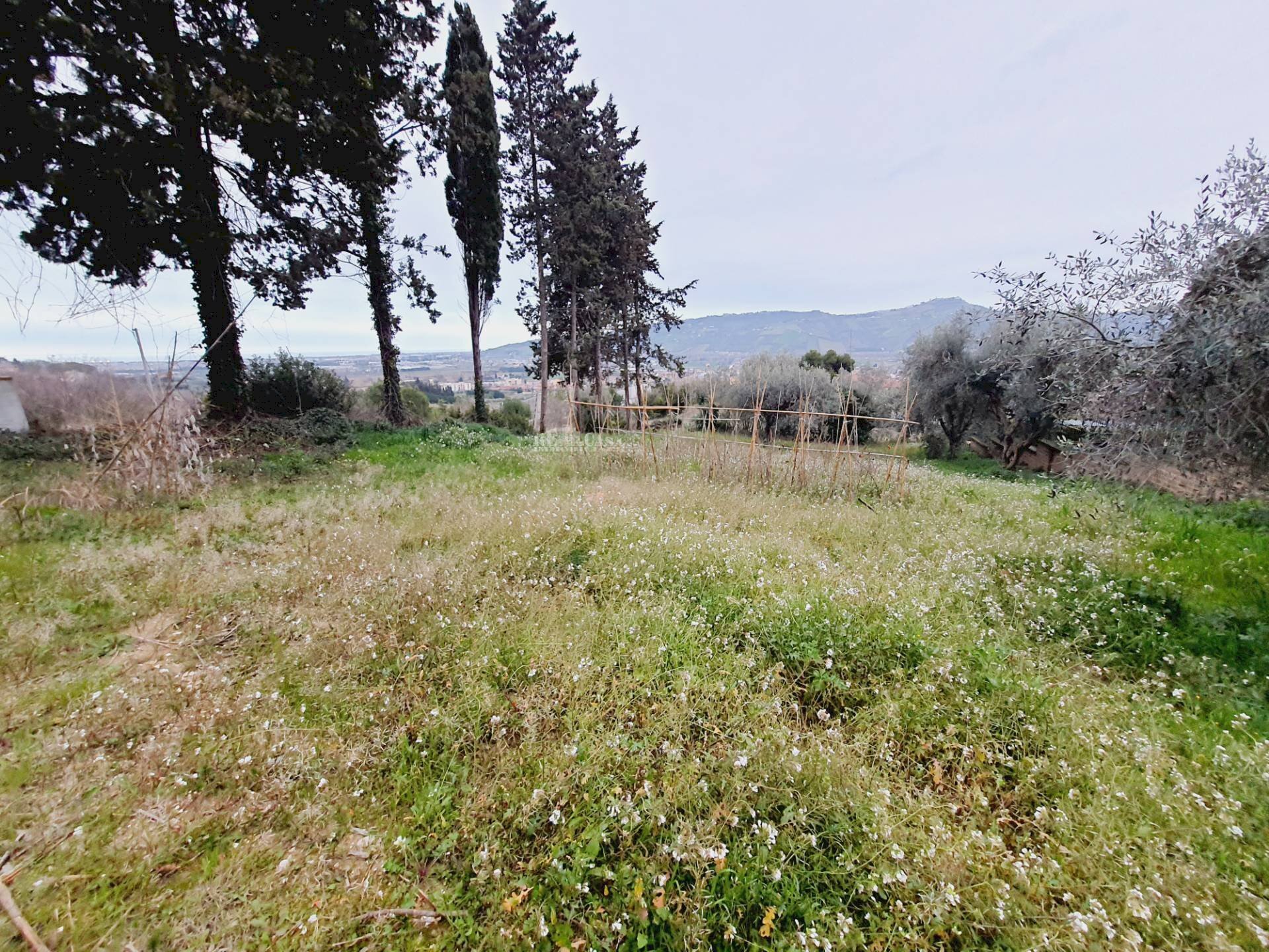 Foto 2 - Terreno edificabile VIA 86A STRADA
 
3, Monteprandone - foto 2