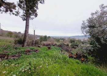 Foto 7 - Terreno edificabile VIA 86A STRADA
 
3, Monteprandone - foto 7