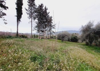 Foto 8 - Terreno edificabile VIA 86A STRADA
 
3, Monteprandone - foto 8