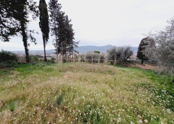 Foto 9 - Terreno edificabile VIA 86A STRADA
 
3, Monteprandone - foto 9