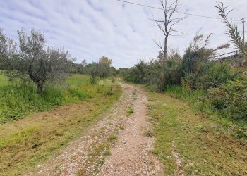 Foto 9 - Rustic Contrada MAREZI, Massignano - photo 9