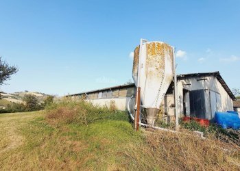 Foto 7 - Independent house Contrada San Lazzaro
 
95, Offida - photo 7