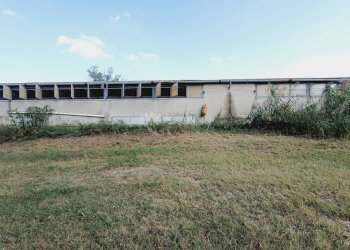 Foto 9 - Independent house Contrada San Lazzaro
 
95, Offida - photo 9