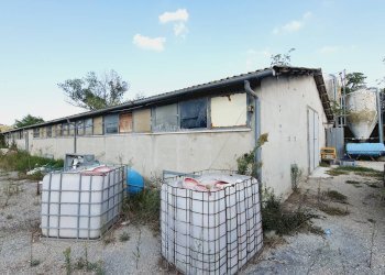 Foto 10 - Independent house Contrada San Lazzaro
 
95, Offida - photo 10