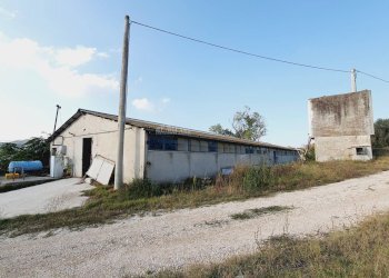 Foto 12 - Independent house Contrada San Lazzaro
 
95, Offida - photo 12