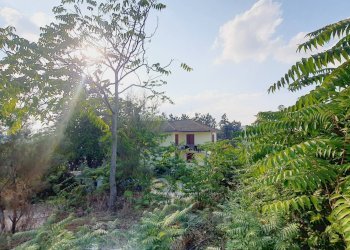 Foto 13 - Independent house Contrada San Lazzaro
 
95, Offida - photo 13