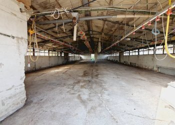 Foto 14 - Independent house Contrada San Lazzaro
 
95, Offida - photo 14