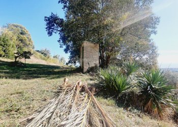 Foto 8 - Rustico contrada san martino, Colonnella - foto 8