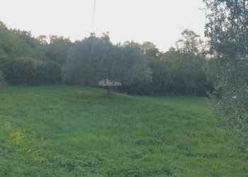 Foto 14 - Villa via truentina, Colonnella - foto 14