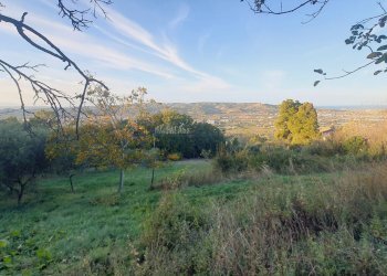 Foto 16 - Villa via truentina, Colonnella - foto 16