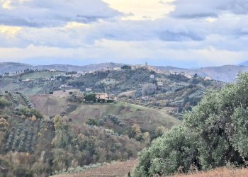 Foto 20 - Independent house Contrada San Giovanni
 
4, Monsampolo del Tronto - photo 20