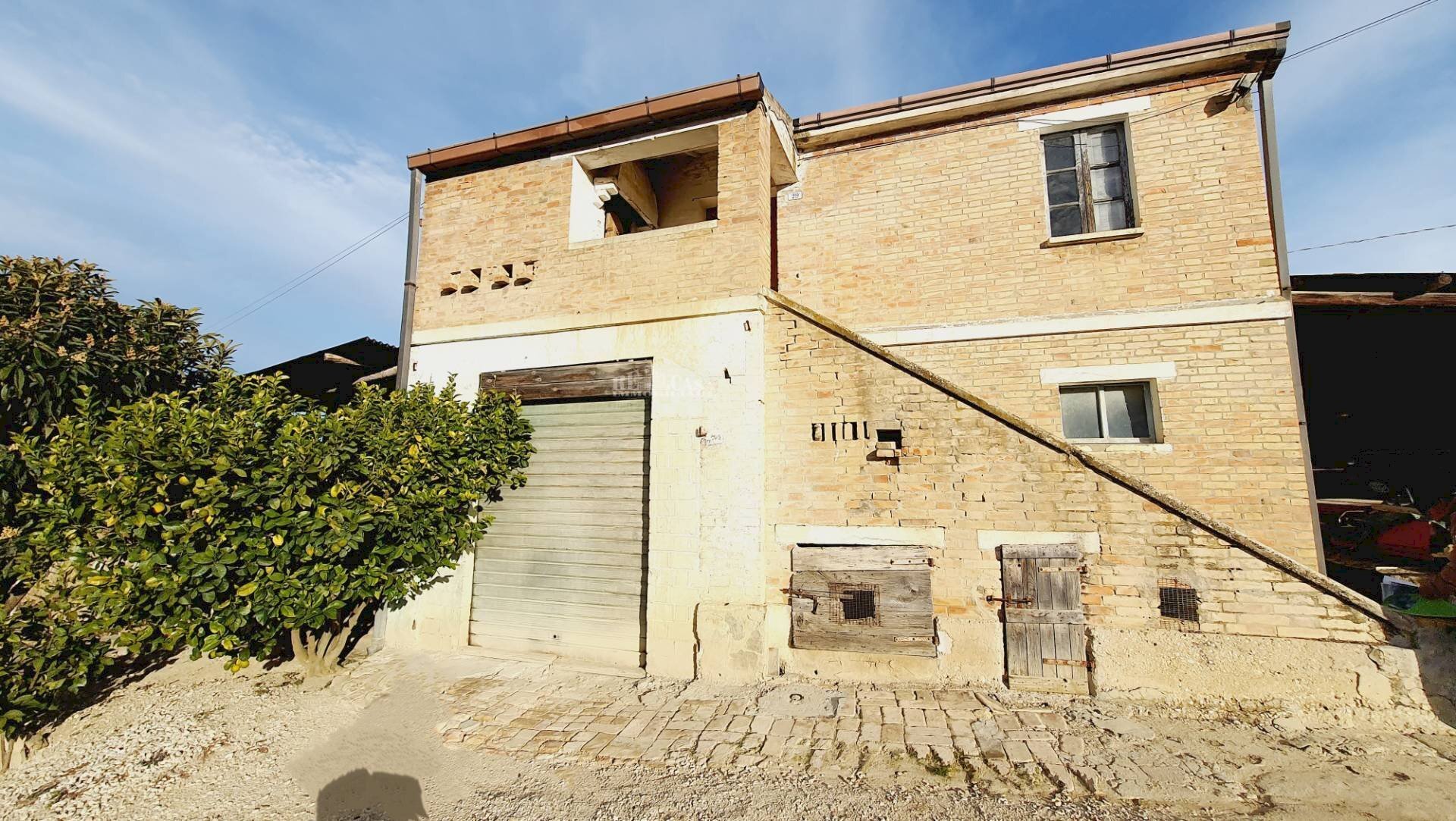 Foto 1 - Terreno agricolo CONTRADA FOROLA, Acquaviva Picena - foto 1