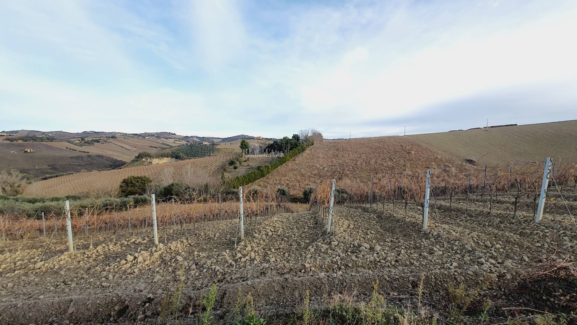 Foto 2 - Terreno agricolo CONTRADA FOROLA, Acquaviva Picena - foto 2