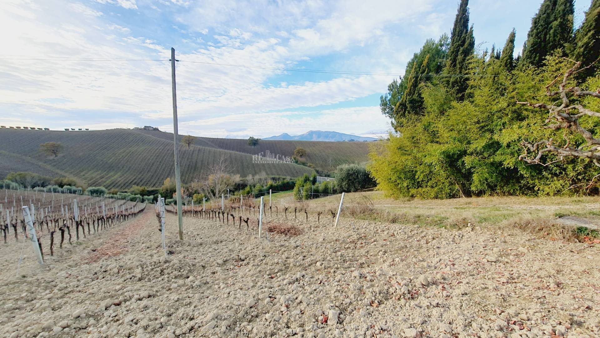 Foto 3 - Terreno agricolo CONTRADA FOROLA, Acquaviva Picena - foto 3