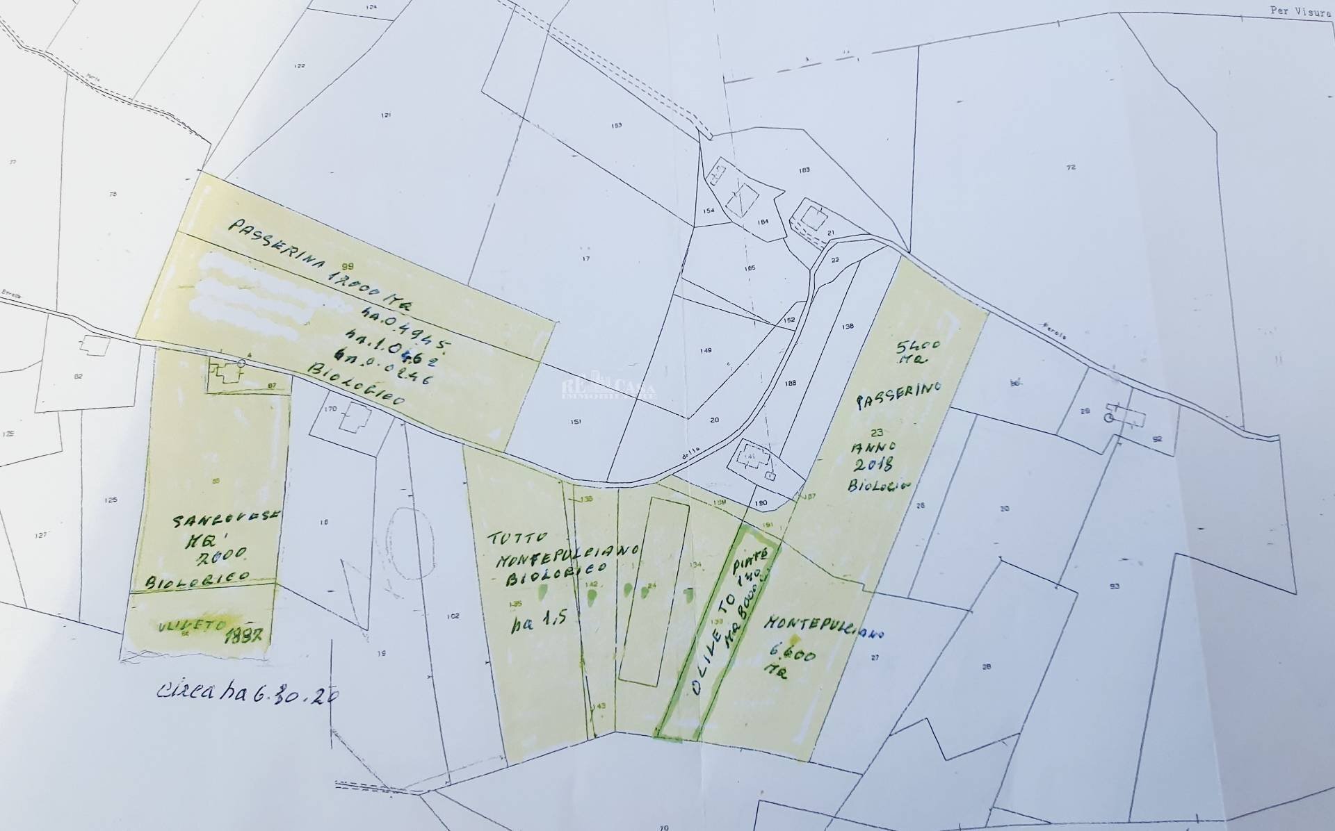 Foto 29 - Terreno agricolo CONTRADA FOROLA, Acquaviva Picena - planimetria 1