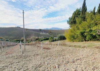 Foto 3 - Agricultural land CONTRADA FOROLA, Acquaviva Picena - photo 3