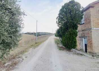 Foto 9 - Agricultural land CONTRADA FOROLA, Acquaviva Picena - photo 9