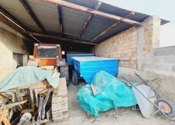 Foto 12 - Agricultural land CONTRADA FOROLA, Acquaviva Picena - photo 12