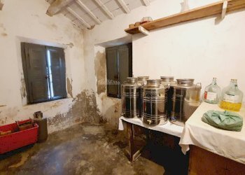 Foto 27 - Agricultural land CONTRADA FOROLA, Acquaviva Picena - photo 27