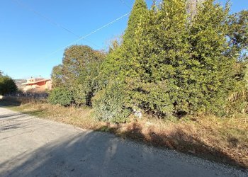 Foto 2 - Rustic VIA ROMA, Martinsicuro - photo 2