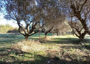 Foto 5 - Rustic VIA ROMA, Martinsicuro - photo 5