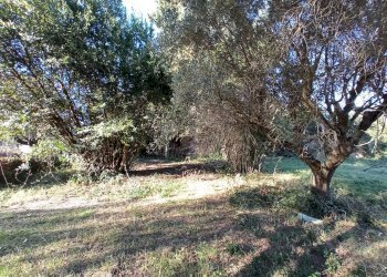 Foto 6 - Rustic VIA ROMA, Martinsicuro - photo 6