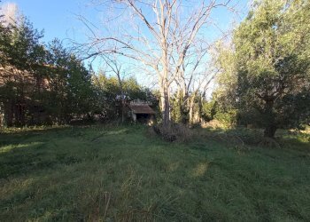 Foto 7 - Rustic VIA ROMA, Martinsicuro - photo 7