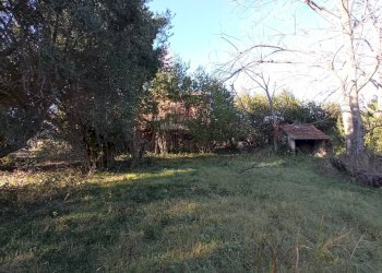 Foto 8 - Rustic VIA ROMA, Martinsicuro - photo 8