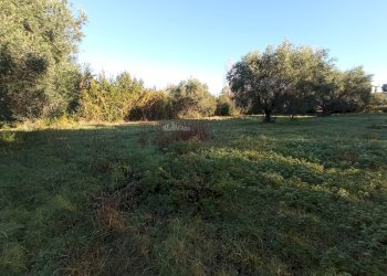 Foto 9 - Rustic VIA ROMA, Martinsicuro - photo 9