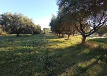 Foto 10 - Rustic VIA ROMA, Martinsicuro - photo 10