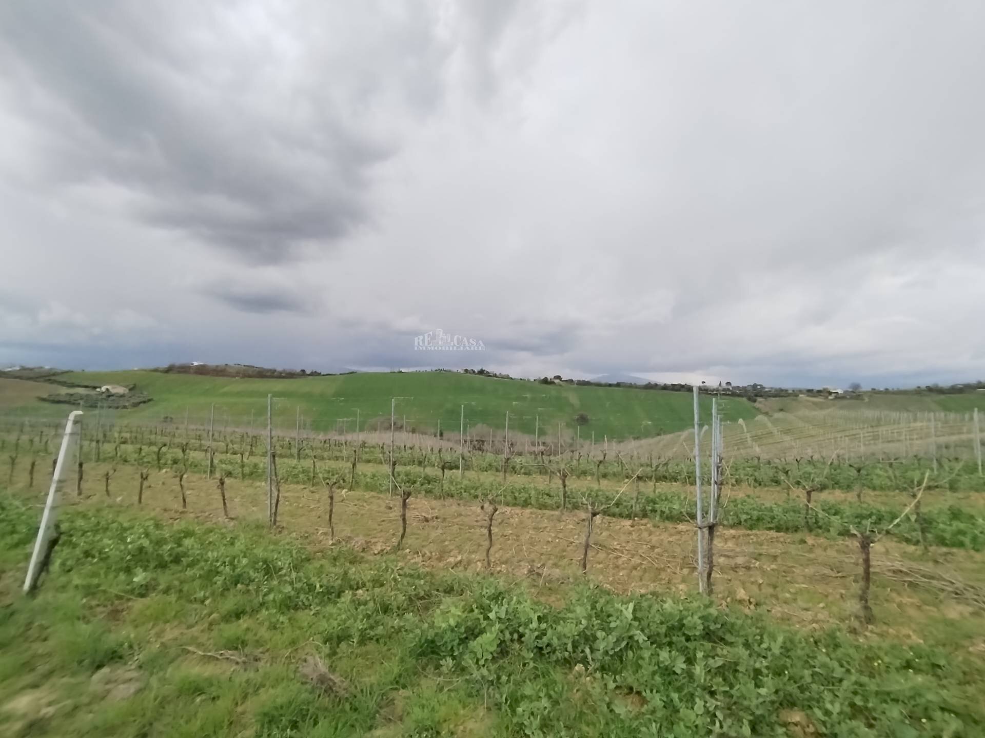 Foto 3 - Agricultural land VIA COLLE NAVICCHIO
snc, Monteprandone - photo 2