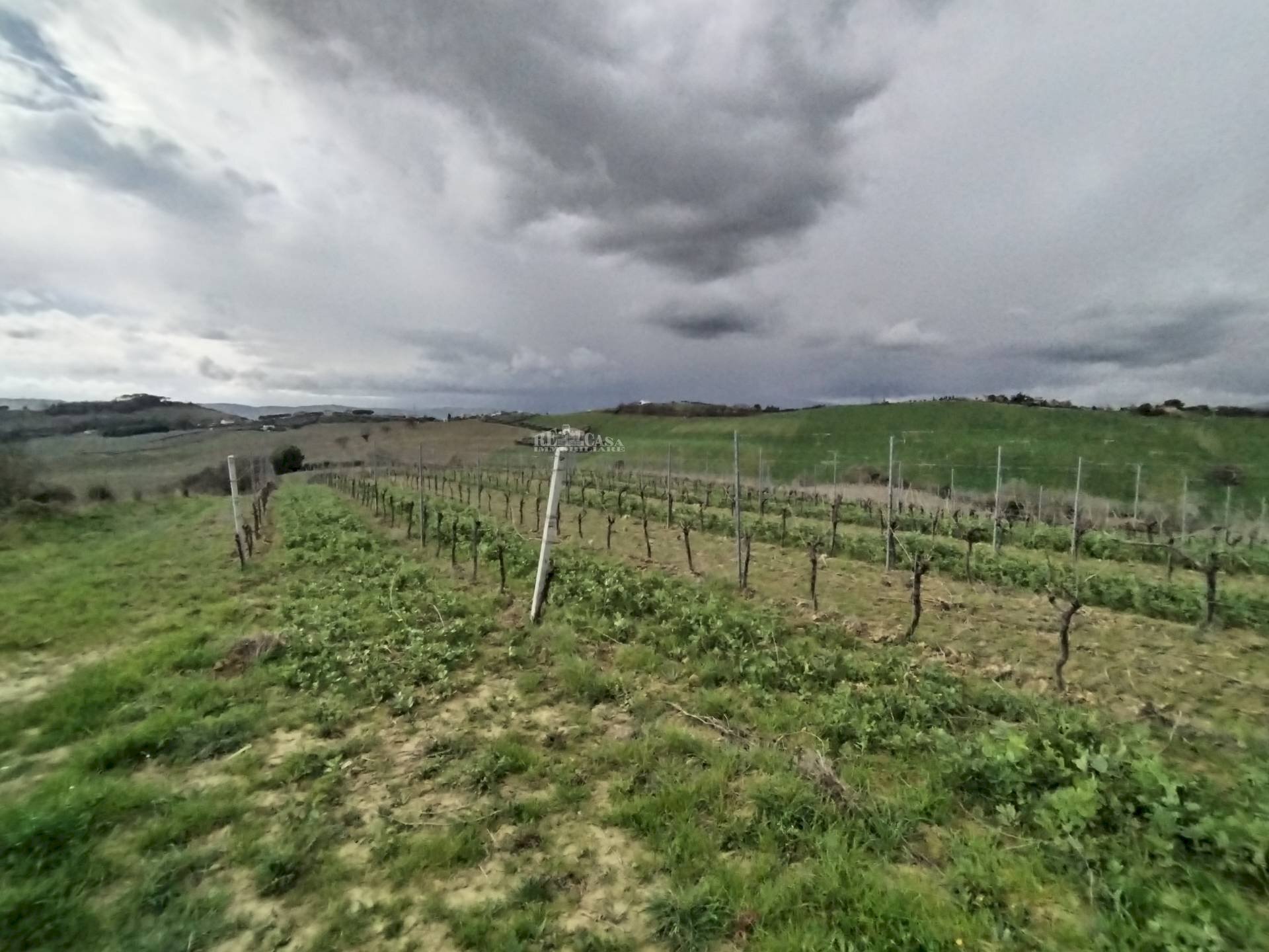 Foto 4 - Agricultural land VIA COLLE NAVICCHIO
snc, Monteprandone - photo 3