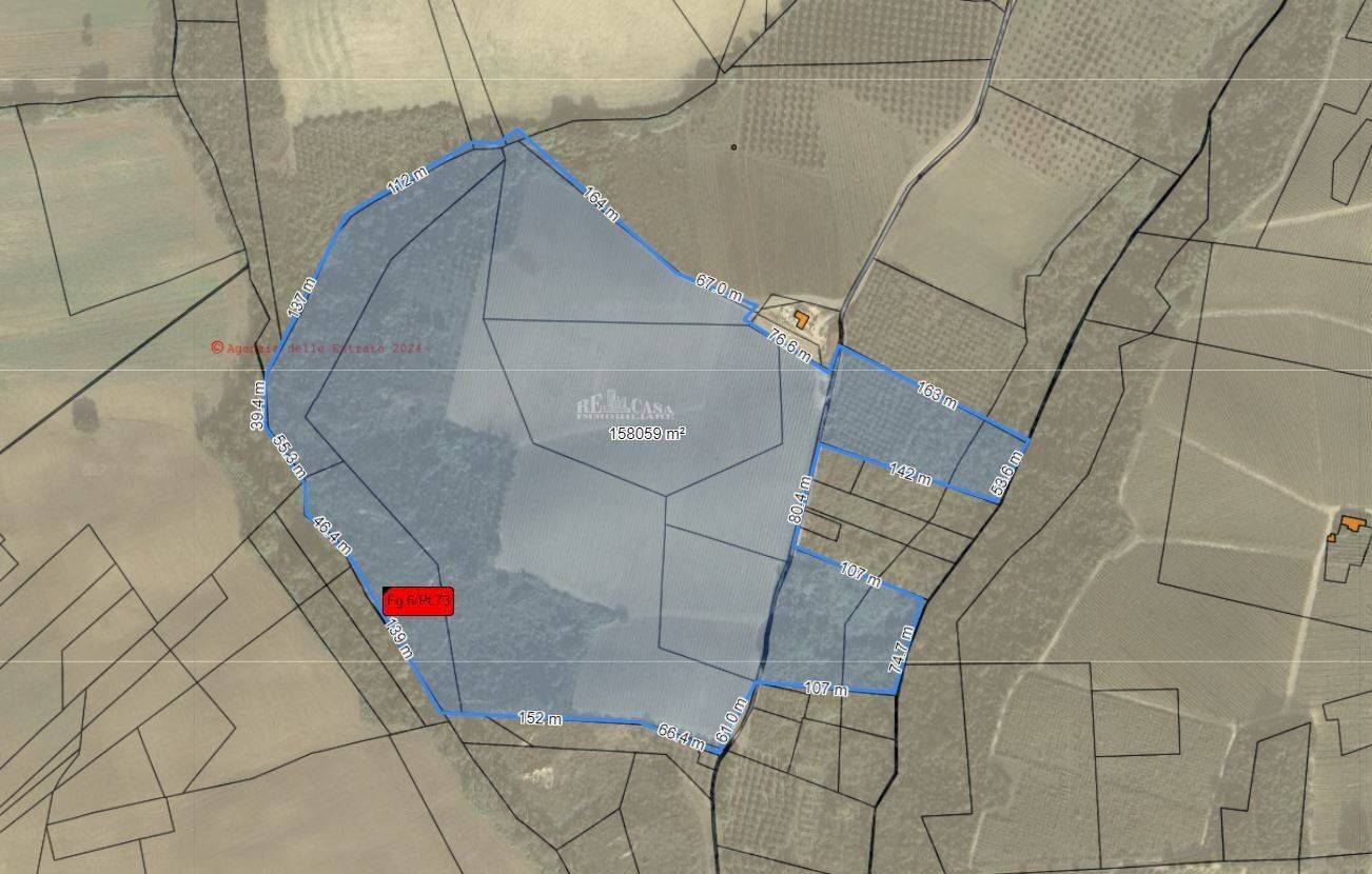 Foto 1 - Agricultural land VIA COLLE NAVICCHIO
 
snc, Monteprandone - floor plans 1