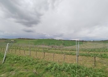 Foto 3 - Agricultural land VIA COLLE NAVICCHIO
snc, Monteprandone - photo 2