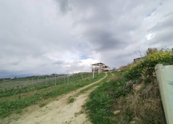 Foto 7 - Agricultural land VIA COLLE NAVICCHIO
snc, Monteprandone - photo 6