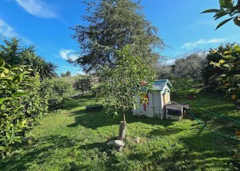 Foto 5 - Casa indipendente Via Bora di Ragnola
 
22, Monteprandone - foto 5