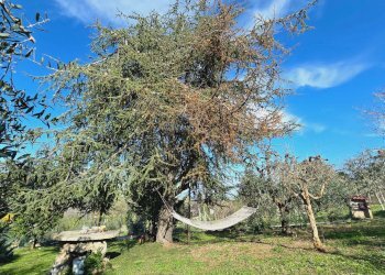 Foto 24 - Casa indipendente Via Bora di Ragnola
 
22, Monteprandone - foto 24