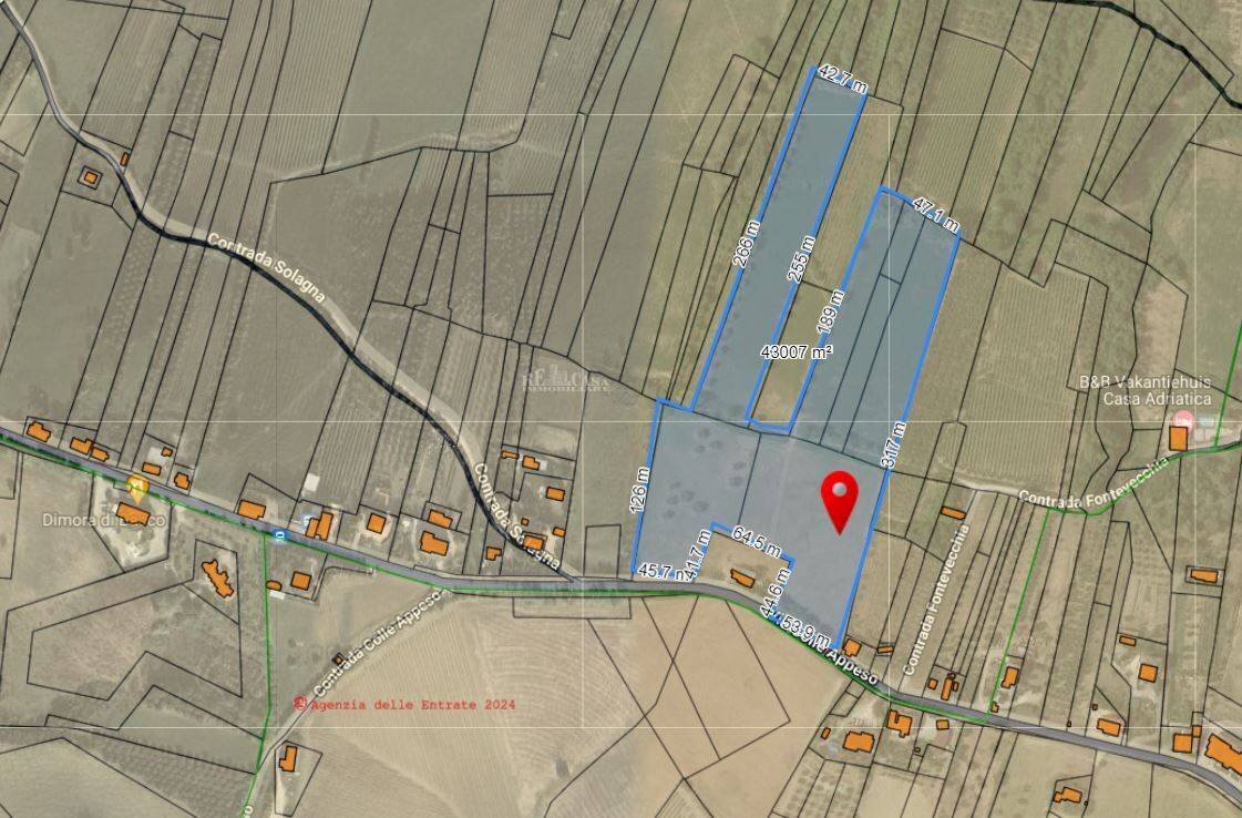 Foto 1 - Agricultural land via Colle Appeso
 
snc, Monteprandone - photo 1