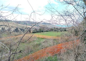 Foto 3 - Agricultural land via Colle Appeso
snc, Monteprandone - photo 3