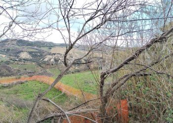 Foto 4 - Agricultural land via Colle Appeso
snc, Monteprandone - photo 4