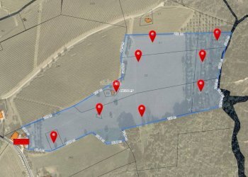 Foto 35 - Independent house Via San Lazzaro, Offida - photo 35