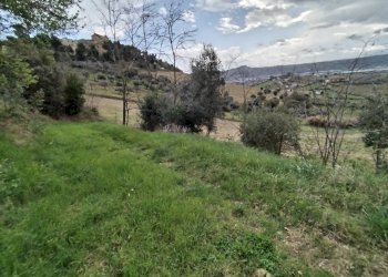 Foto 4 - Agricultural land via borgo da mare
snc, Monteprandone - photo 4