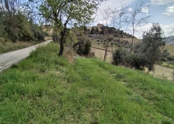 Foto 5 - Agricultural land via borgo da mare
snc, Monteprandone - photo 5